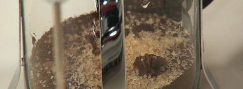 кофе масала. Шаг 3