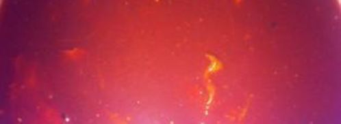 свиные ребра в кофейном соусе. Шаг 10