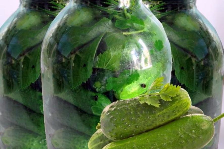 Рецепт консервированных малосольных хрустящих огурцов с водкой