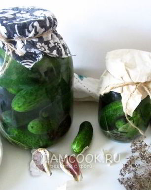 Огурцы квашеные с водкой