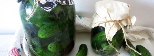 огурцы квашеные с водкой. Шаг 9