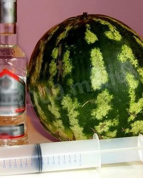 Водка в арбузе