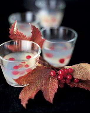 Желе с водкой и ягодами