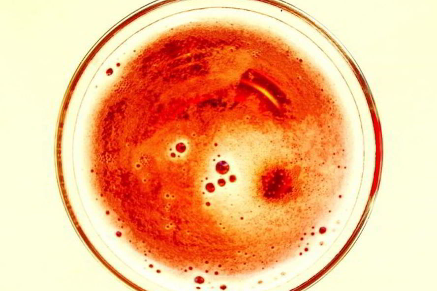 Рецепт белого домашнего кваса