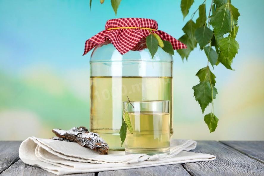 Рецепт березового кваса с корой березы