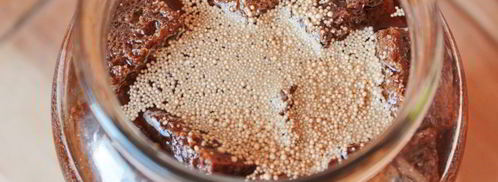 домашний квас из ржаного хлеба. Шаг 6