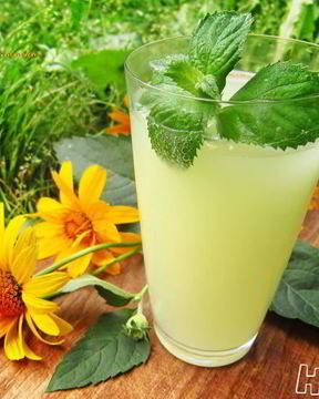 Имбирный квас — Дзыдзыбира