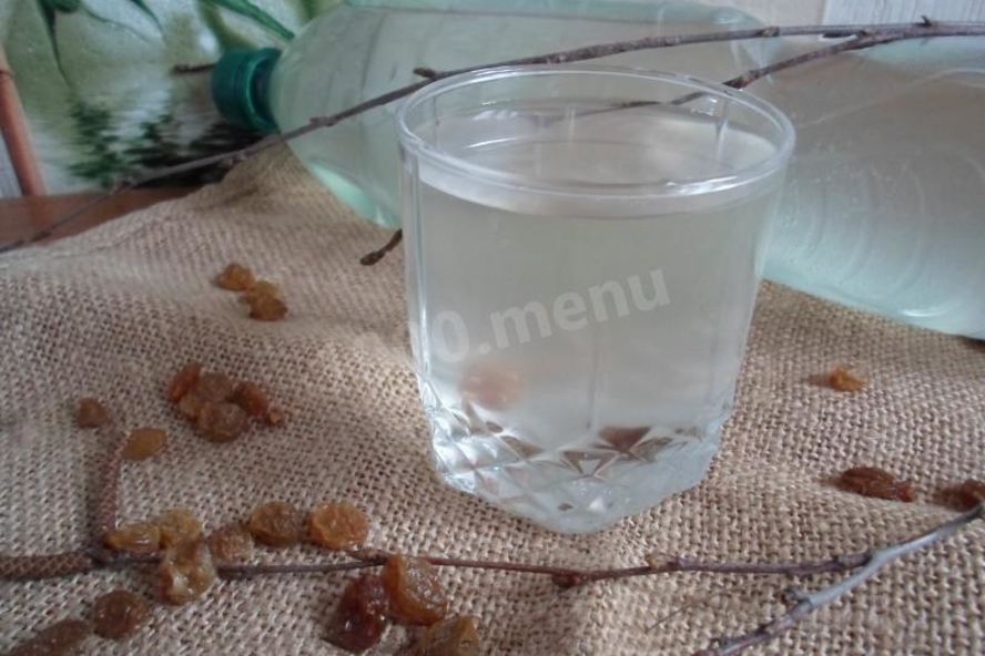 Рецепт кваса из березового сока без дрожжей