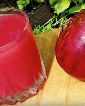 Квас из красной свеклы