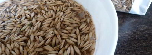 квас из овса летний. Шаг 3