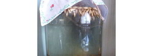 квас из овса летний. Шаг 4