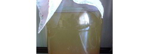 квас из овса летний. Шаг 5