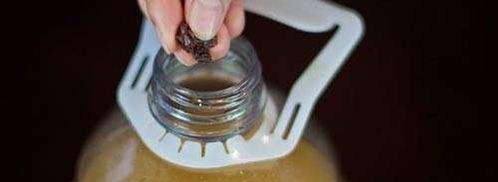 квас из ржаного хлеба. Шаг 15