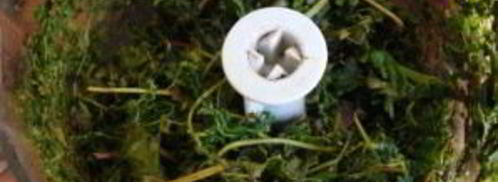 квас из виноградных листьев. Шаг 3