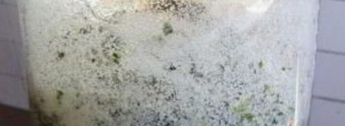 квас из виноградных листьев. Шаг 4