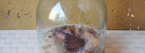 квас хлебный. Шаг 4