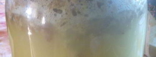 квас на ржаной закваске. Шаг 4