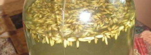 овсяный квас с изюмом. Шаг 6