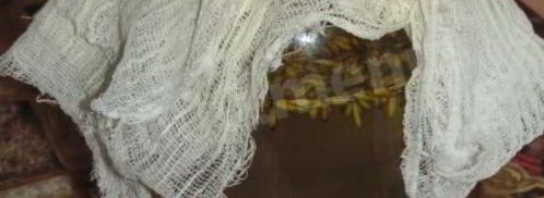 овсяный квас с изюмом. Шаг 8