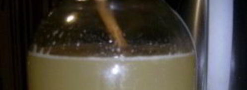 рисовый квас для похудения. Шаг 3