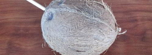 ликер кокосовый. Шаг 5