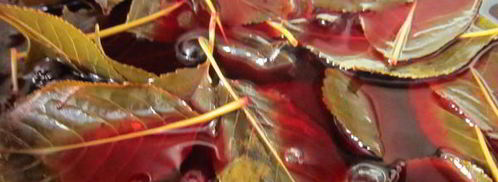 ликер вишневый. Шаг 3