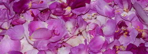 розовый ликер. Шаг 3