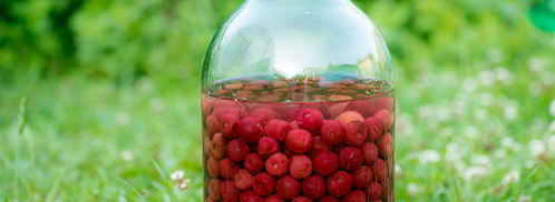 вишневый ликер на вишне с косточками. Шаг 4