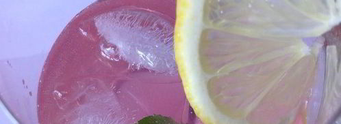 концентрат лимонада из ревеня. Шаг 7