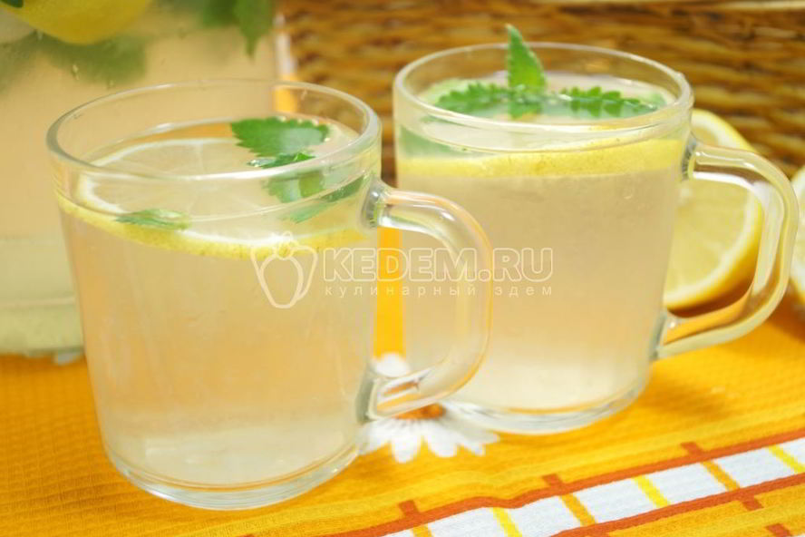 Рецепт лимонада из лимонов с мятой