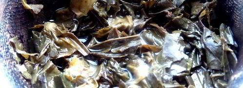 лимонад из зеленого чая. Шаг 5