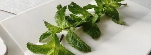 лимонад с мятой и лаймом. Шаг 5