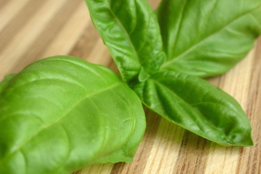 Рецепт свежего базиликового лимонада