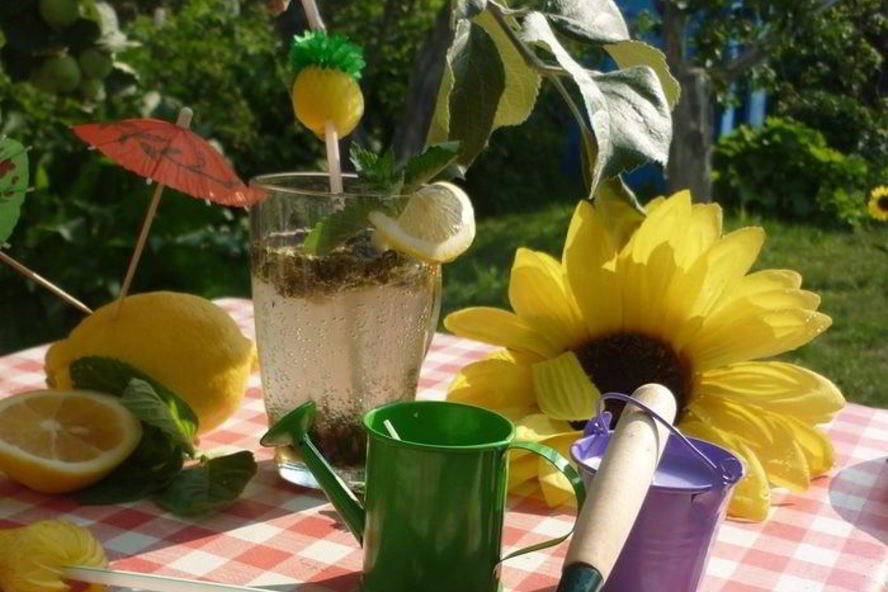 Рецепт дачного мохито