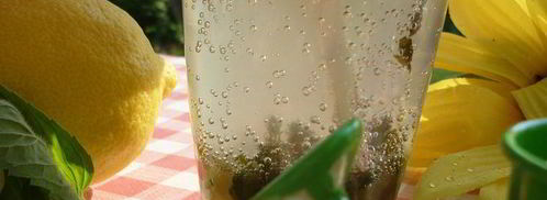 дачный мохито. Шаг 7