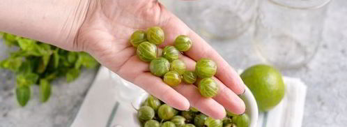 мохито из крыжовника. Шаг 4