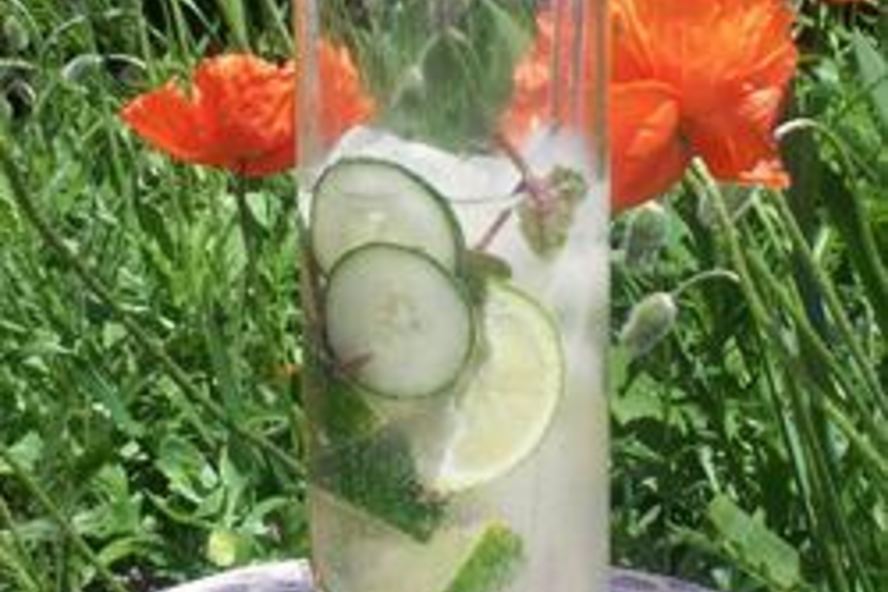 Рецепт мохито с мятой и свежим огурцом