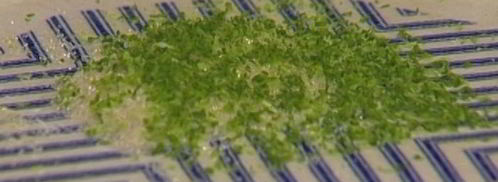 молочный коктейль с манго. Шаг 3