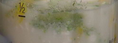 молочный коктейль с манго. Шаг 4