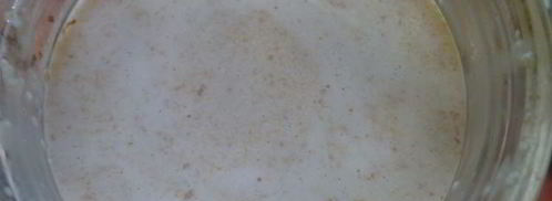 овсяно-молочный коктейль со сливовым вареньем. Шаг 5