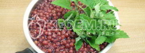 брусничный морс с мятой. Шаг 5