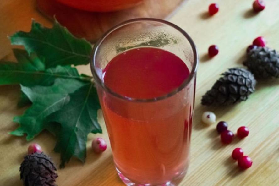 Рецепт домашнего клюквенного морса