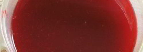 клюквенно-мандариновый морс. Шаг 10