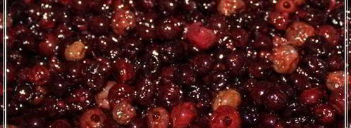 наливка черносмородиновая. Шаг 16