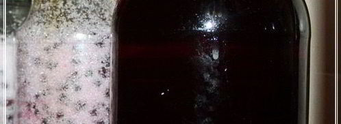 наливка черносмородиновая. Шаг 11