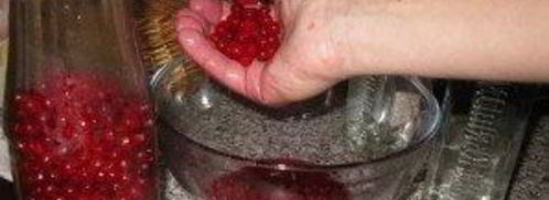 наливка из калины. Шаг 3