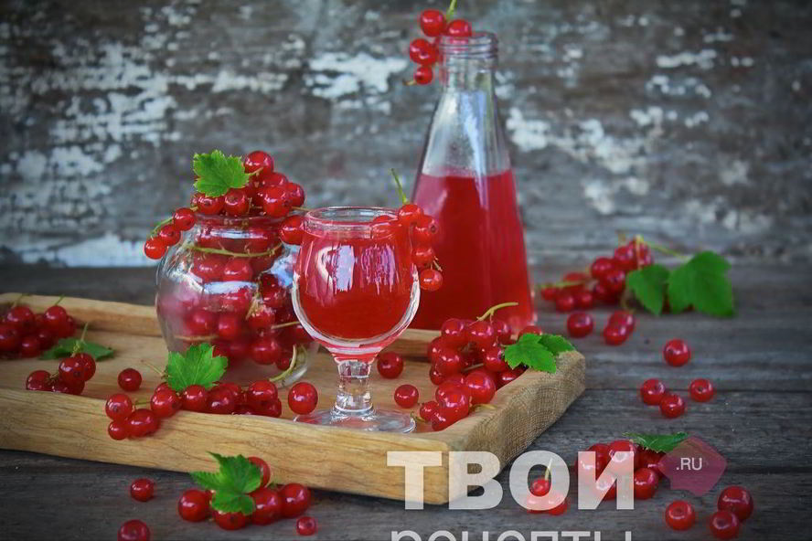 Рецепт наливки из красной смородины