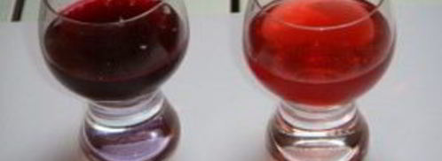 наливка из крыжовника и черной смородины. Шаг 10