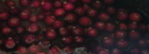 наливка в мультиварке. Шаг 4