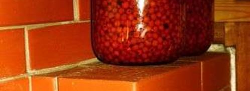 рябиновая наливка. Шаг 30